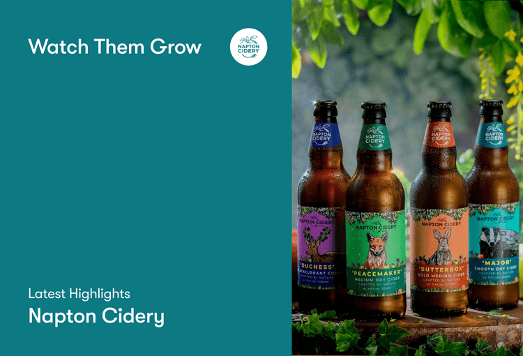 Sustainable, Award-Winning, and Independent-Approved: Napton Cidery’s Big Year