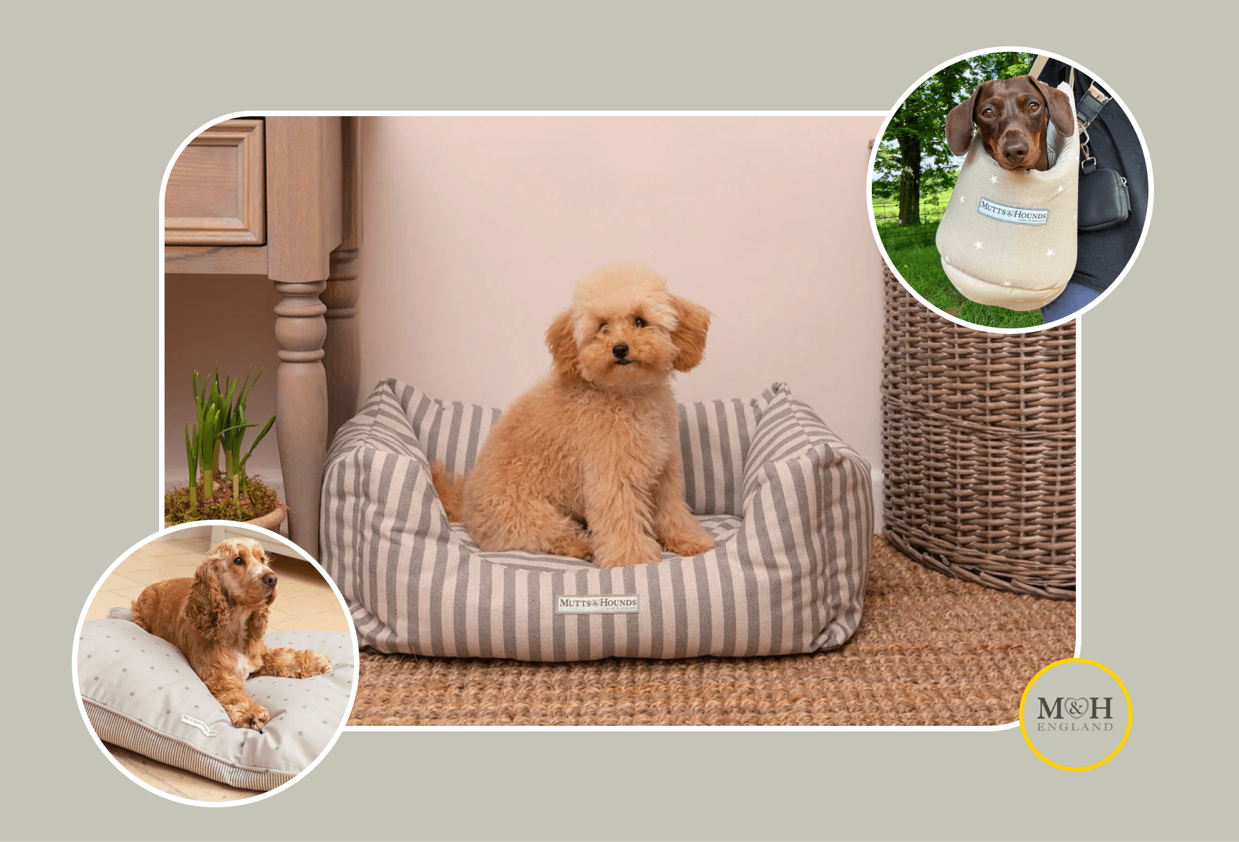 Conoce a Mutts & Hounds: Estilo atemporal para tus amigos de cuatro patas