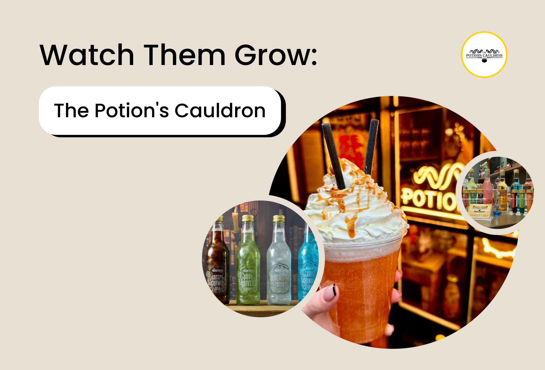 The Potion's Cauldron loitsib uute saavutustega