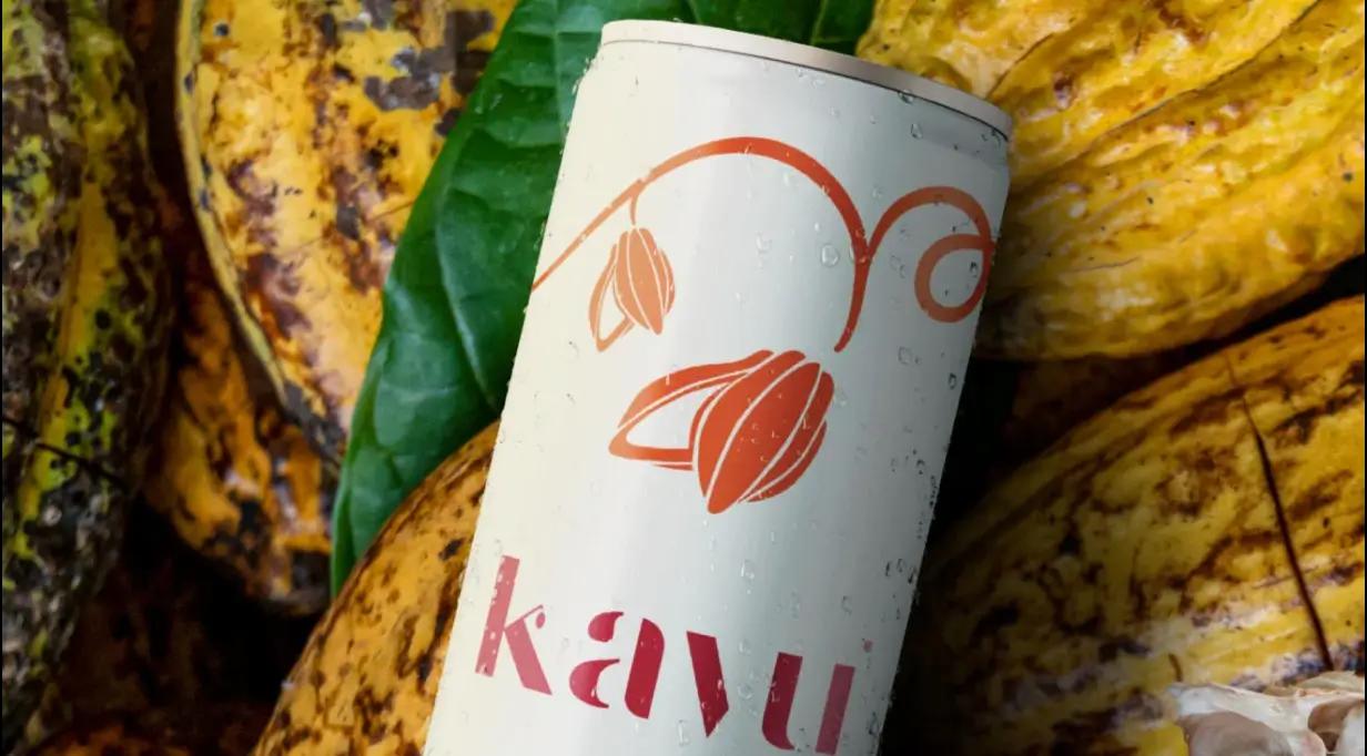 Conoce a la startup: Kayu Fruit