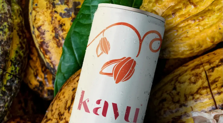 Meet startup: Kayu Fruit
