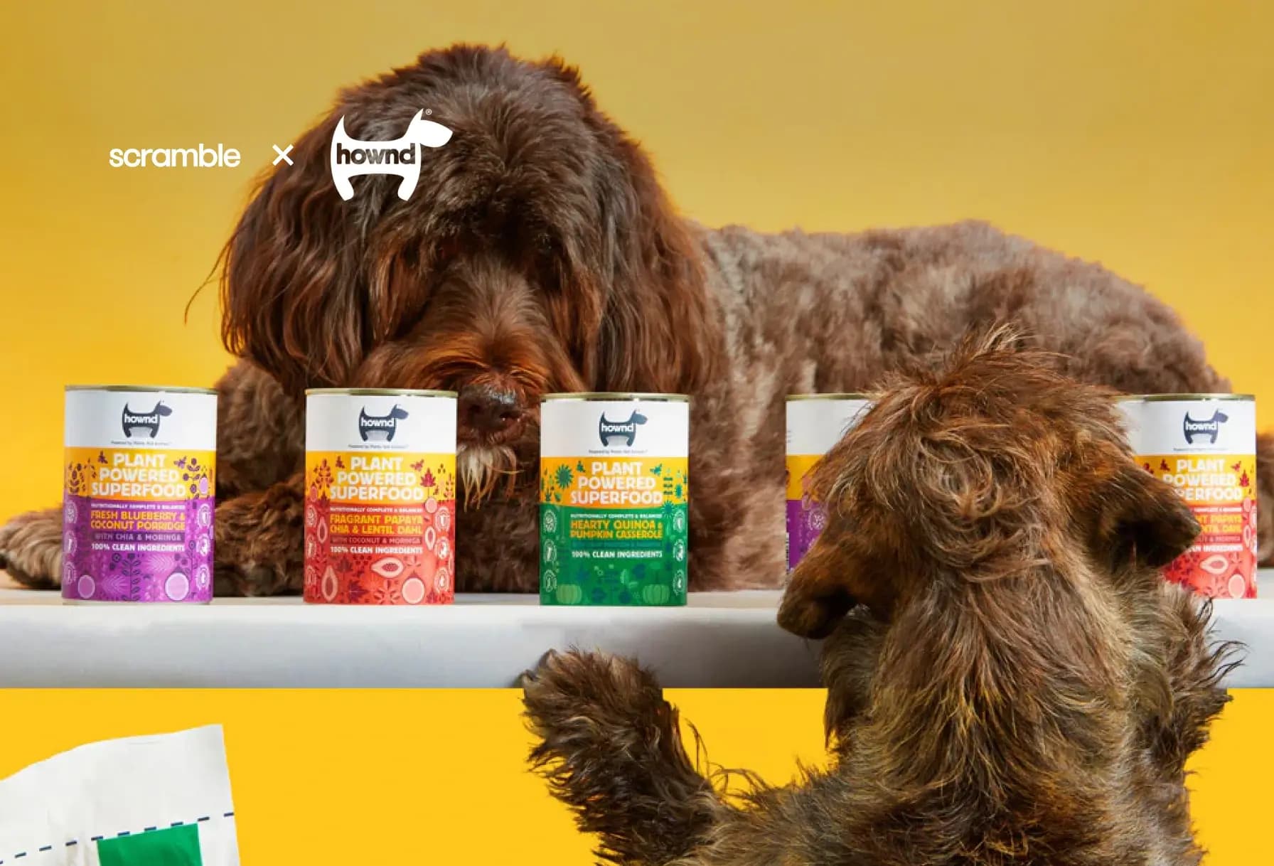 HOWND: Leading the Way in Ethical and Plant-Powered Pet Care